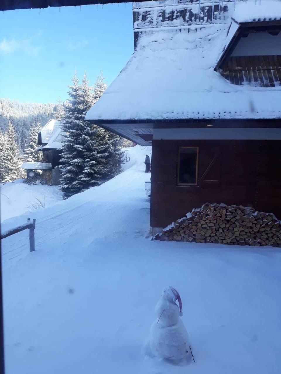 Holiday Home Elena Kopaonik Extérieur photo